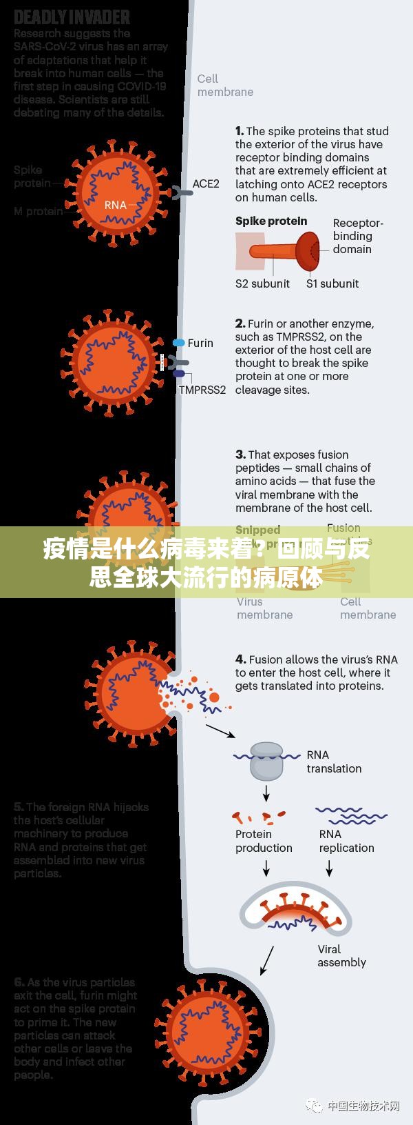 重磅.来袭“红龙扑克万能开挂神器”(确实有挂)