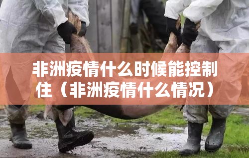 重磅.来袭大懒人娱乐其实是有挂的(其实真的能开挂)