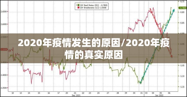 重磅.来袭 蜜蜂历险怎么开挂√其实是有挂 重磅.来袭 蜜蜂历险怎么开挂√其实是有挂