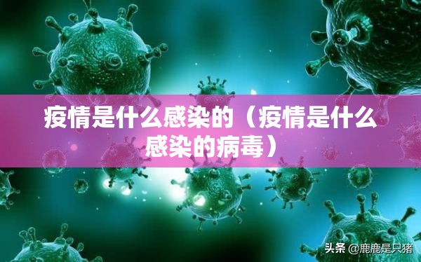 重大通报“美猴王到底有没有挂装!其实是有挂”√其实是有挂 重大通报“美猴王到底有没有挂装!其实是有挂”√其实是有挂