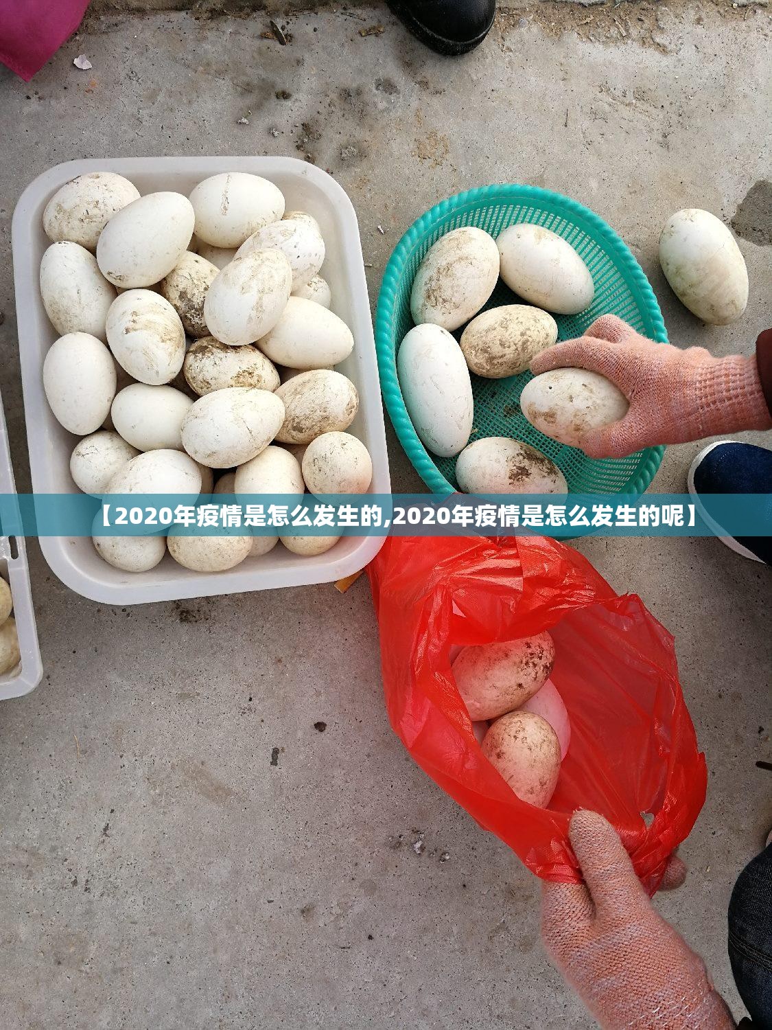 推荐一款“美猴王有挂吗”√必胜开挂神器 推荐一款“美猴王有挂吗”√必胜开挂神器