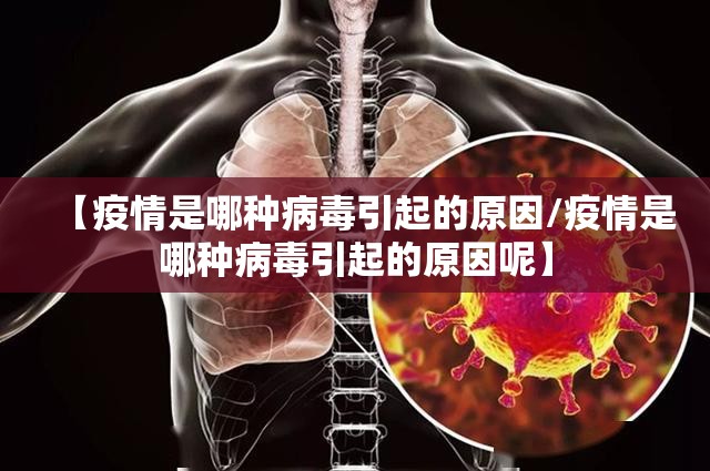 重磅.来袭金牛怎么开挂呢原来可以开挂 重磅.来袭金牛怎么开挂呢原来可以开挂