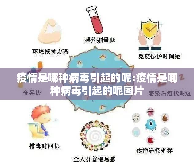 分享实测创乐缘到底有挂吗(原来确实是有挂)