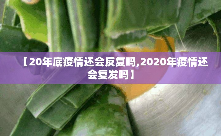 推荐一款榕城510K的确真的有挂原来真可以开挂