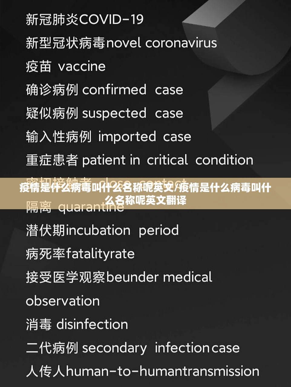 重磅.来袭789大菠萝挂软件原来可以开挂 重磅.来袭789大菠萝挂软件原来可以开挂
