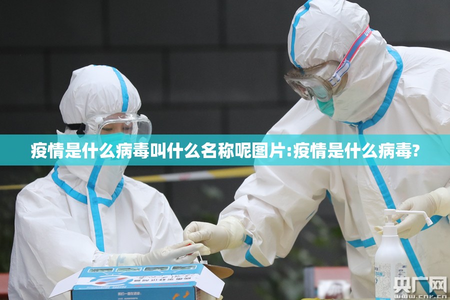 分享实测哥哥跑得快到底有没有挂(确实有挂)