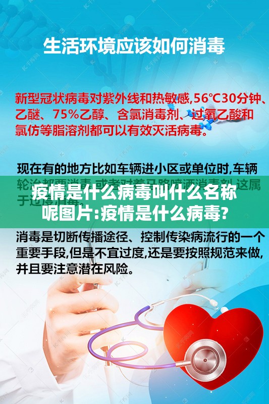 推荐一款闲雅棋牌能不能开挂确实真的有挂