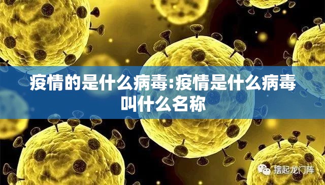 分享实测乐悠悠究竟有没有挂!开挂神器