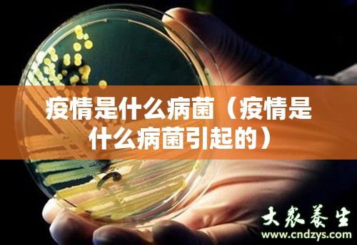 今日重大通报“BB棋牌怎么买挂确实真的有挂”√必胜开挂神器 今日重大通报“BB棋牌怎么买挂确实真的有挂”√必胜开挂神器