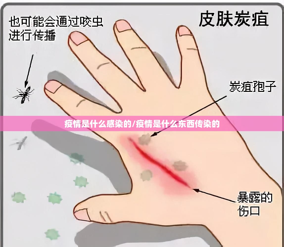 重磅.来袭wpkplus究竟是不是有挂吗√太坑了原来有挂