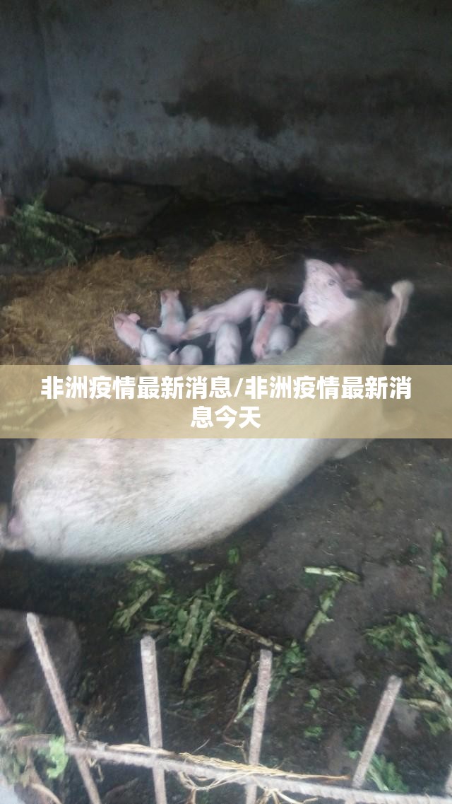 今日重大通报悟空竞技麻将真的确实有挂其实有挂分享真的有挂给你