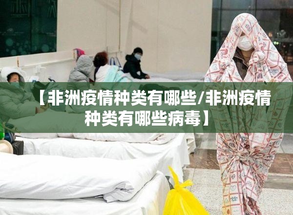 重磅.来袭新卡农真的确实可以开挂2025（果然有挂）