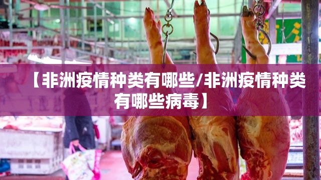 重磅.来袭中至窝龙挂辅助工具(原来确实是有挂) 重磅.来袭中至窝龙挂辅助工具(原来确实是有挂)