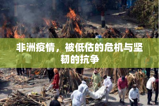 重大通报鑫耀互娱怎么开挂呢(其实真的能开挂)