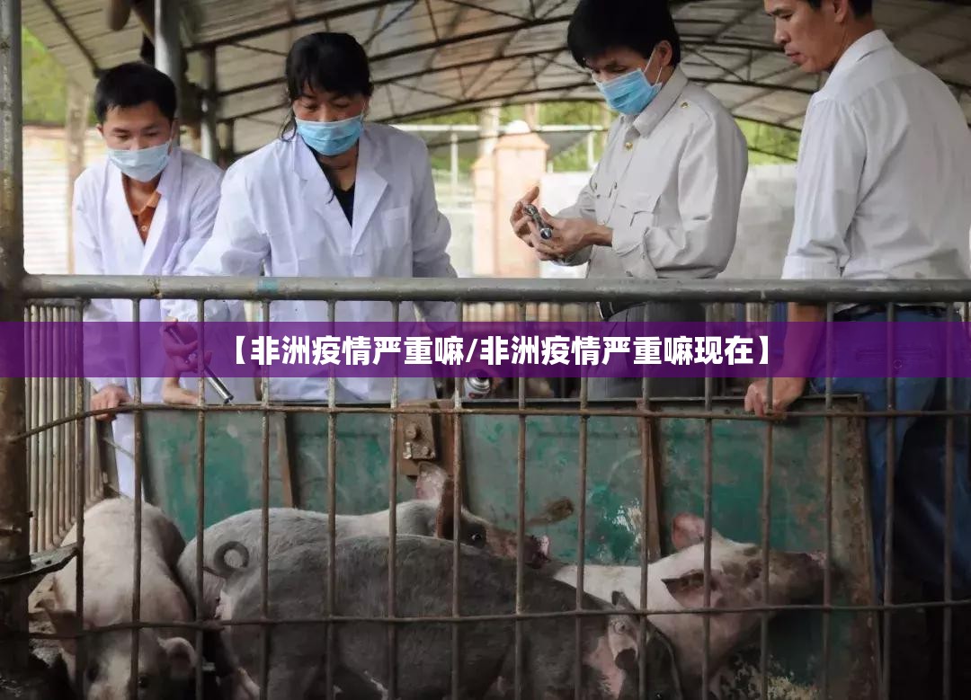 重磅.来袭秦皇岛互娱有没有挂真的确实有挂