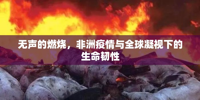 推荐一款榕城510K到底能不能开挂√太坑了原来有挂 推荐一款榕城510K到底能不能开挂√太坑了原来有挂