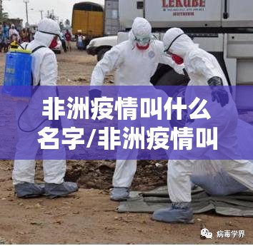 重磅.来袭憨憨棋牌必赢神器实测确实有挂