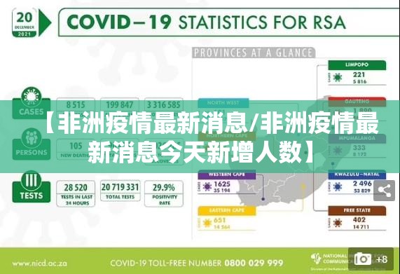 推荐一款贺州玩开挂教程步骤√曝光透视猫腻