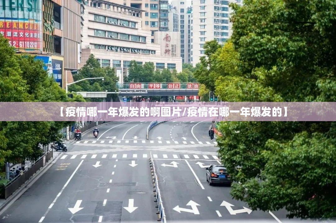 【疫情哪一年爆发的啊图片/疫情在哪一年爆发的】