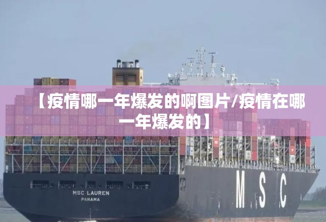 【疫情哪一年爆发的啊图片/疫情在哪一年爆发的】