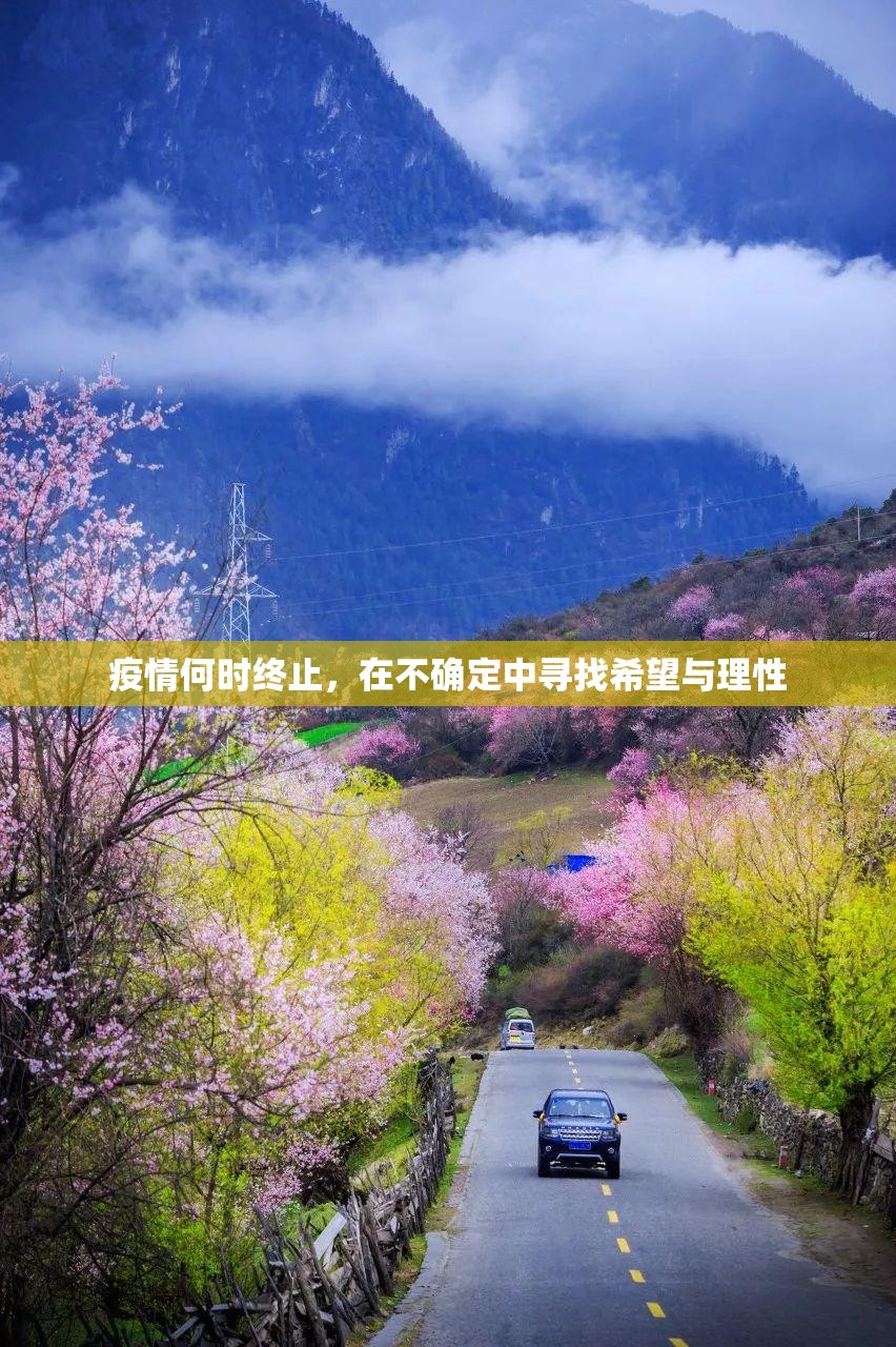 分享实测“朋朋棋牌挂!详细开挂教程”(确实有挂) 分享实测“朋朋棋牌挂!详细开挂教程”(确实有挂)