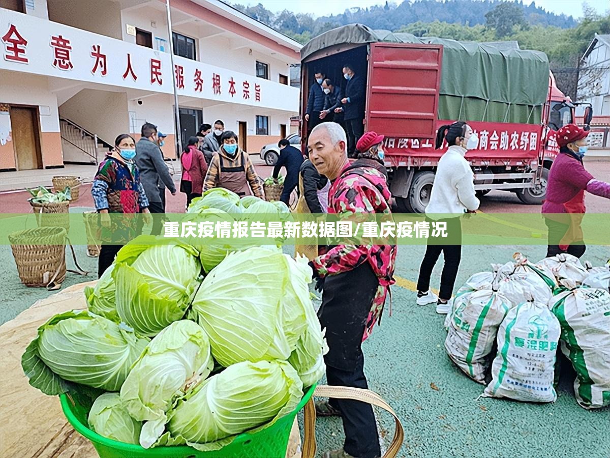 重庆疫情报告最新数据图/重庆疫情况