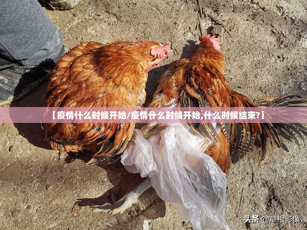 今日重大通报“全民雀神辅助透视软件”其实确实有挂