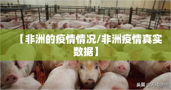 【非洲的疫情情况/非洲疫情真实数据】