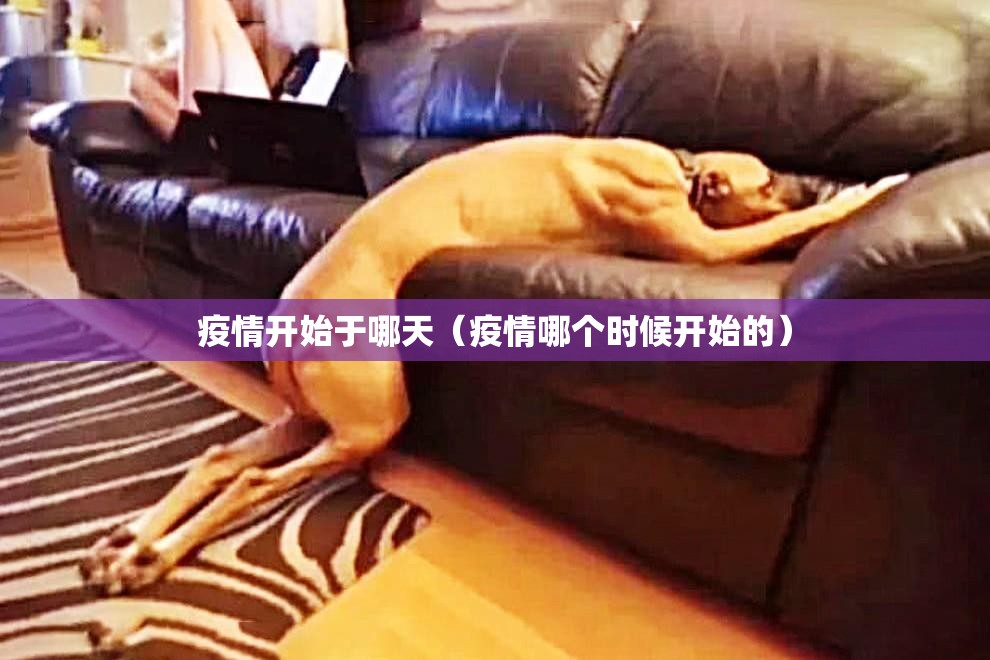 今日重大通报中至赣牌圈包王真实可以装挂@太坑了真的有挂