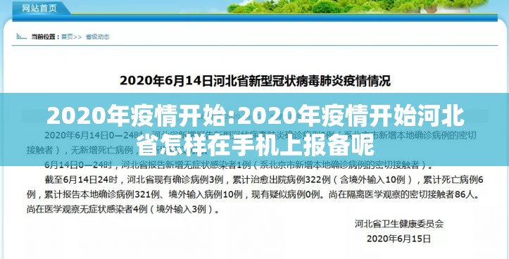 推荐一款新青龙必赢软件(原来确实是有挂)