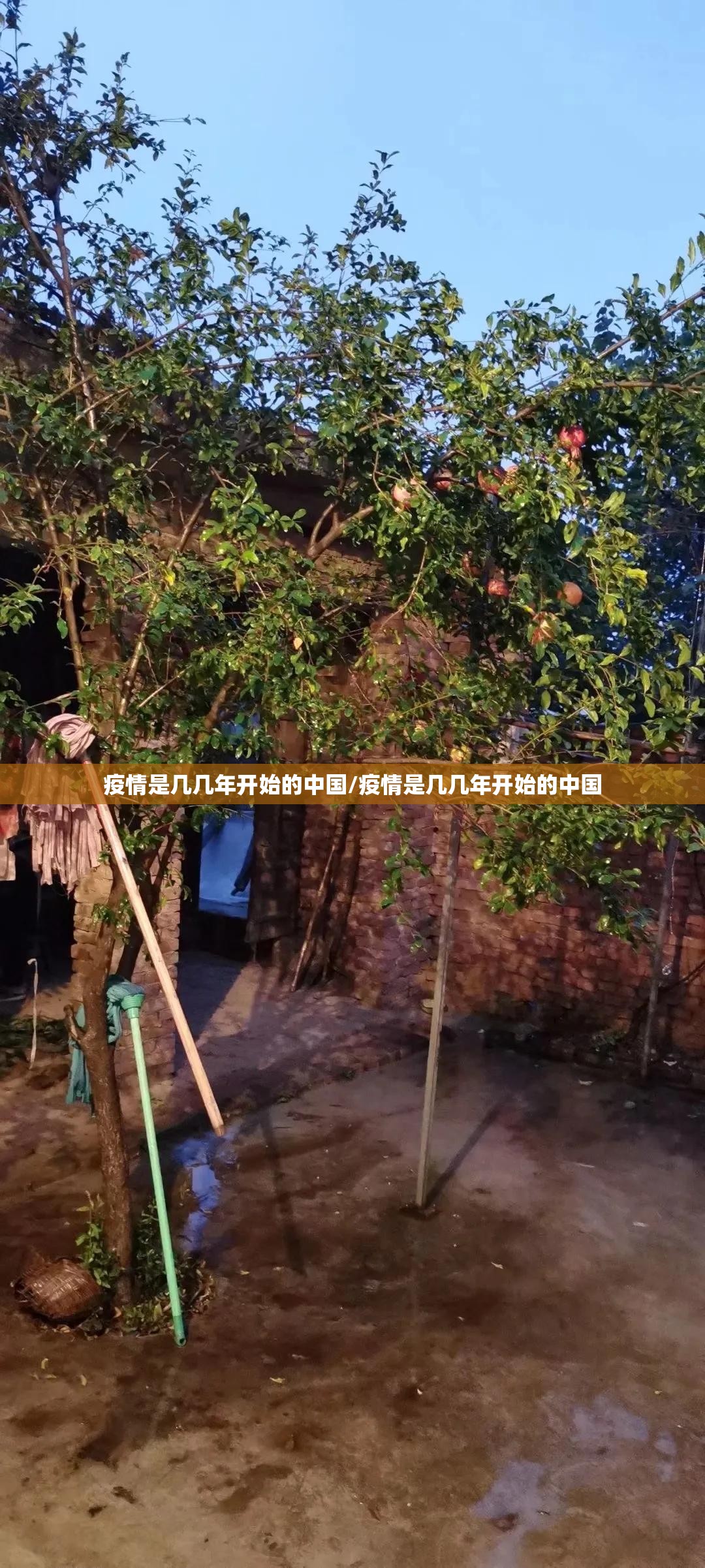 重大通报宁波世纪茶馆外卦神器下载安装(其实真的能开挂)