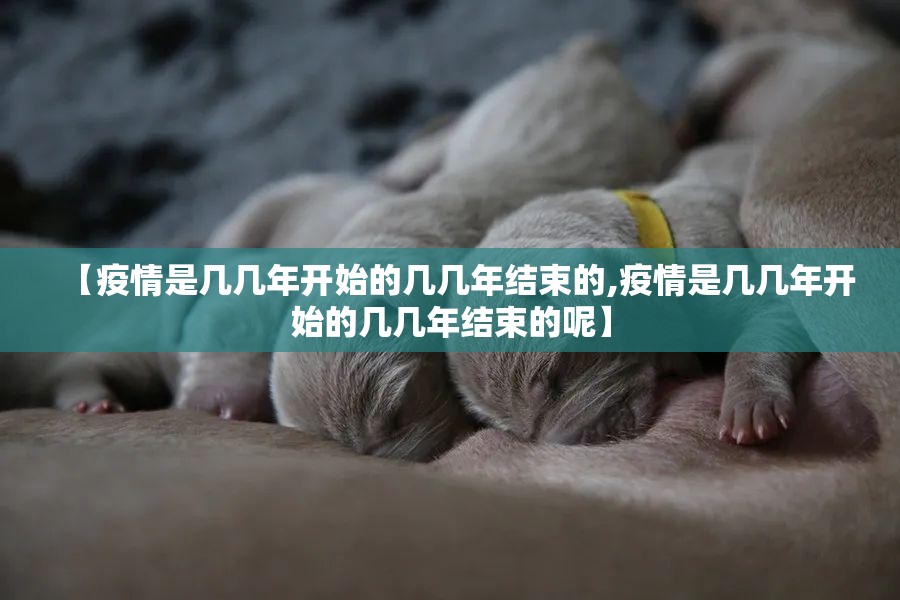 推荐一款棋娱坊有没有挂确实果然有挂开挂神器