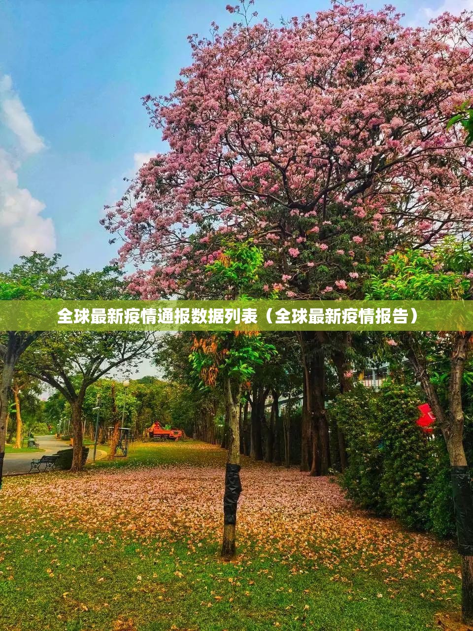 今日重大通报瓜瓜丰城棋牌确实有透视挂果然有挂