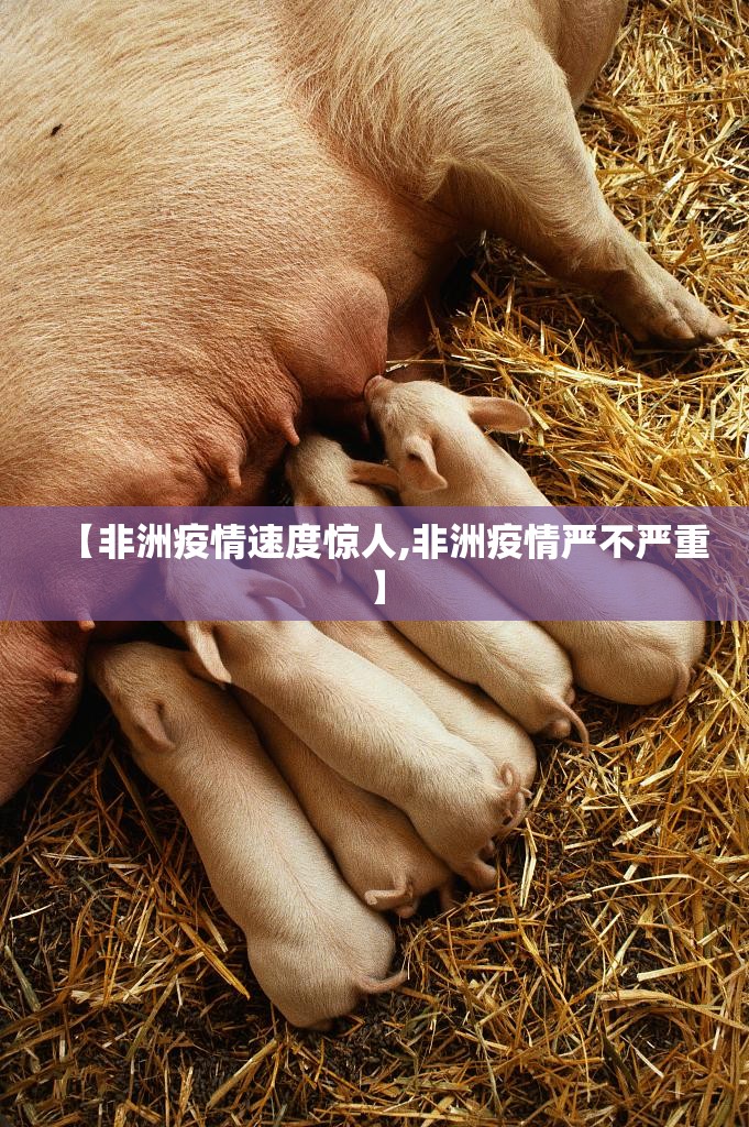 推荐一款欢乐南通长牌有开挂辅助软件吗开挂神器
