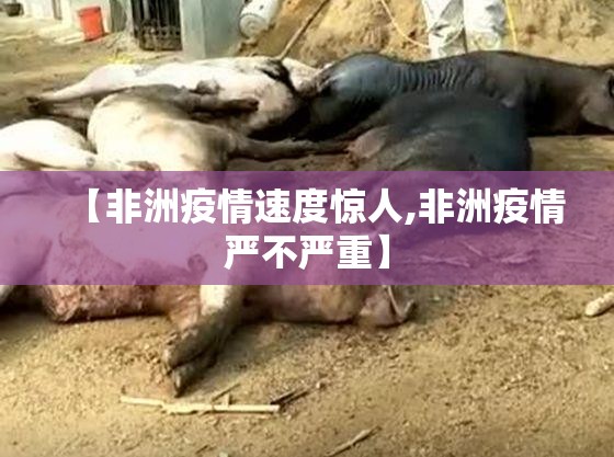 今日重大通报博雅曲靖棋牌到底有没有挂百分百有挂其实确实有挂 今日重大通报博雅曲靖棋牌到底有没有挂百分百有挂其实确实有挂