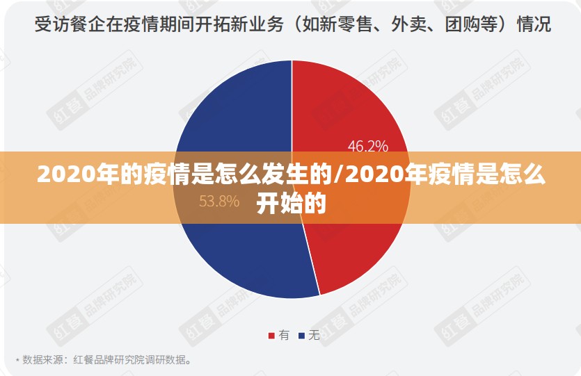 2020年的疫情是怎么发生的/2020年疫情是怎么开始的
