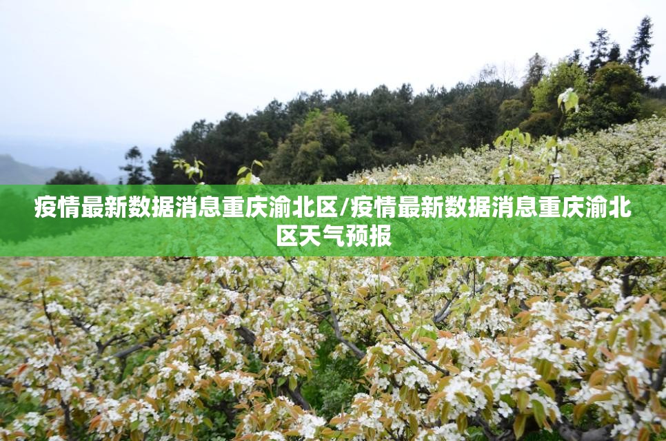 重大通报大菠萝比鸡确实真的有挂!其实确实有挂 重大通报大菠萝比鸡确实真的有挂!其实确实有挂