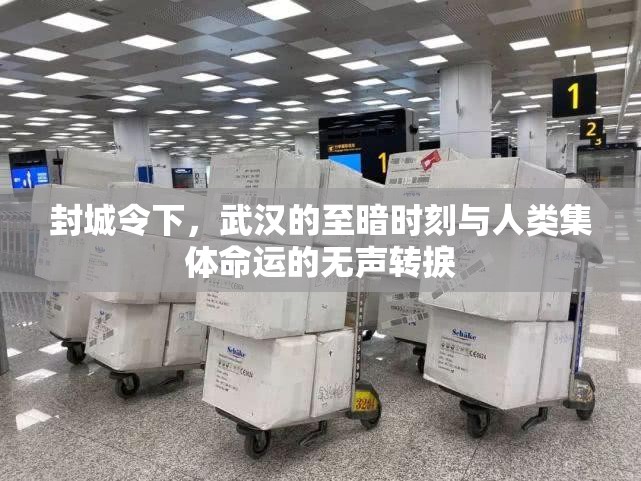 重磅.来袭决胜弈福有挂是真的(确实有挂)