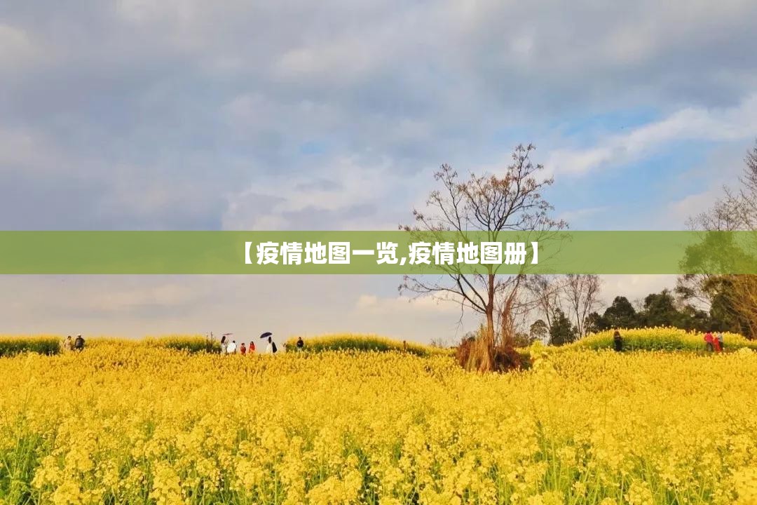 【疫情地图一览,疫情地图册】