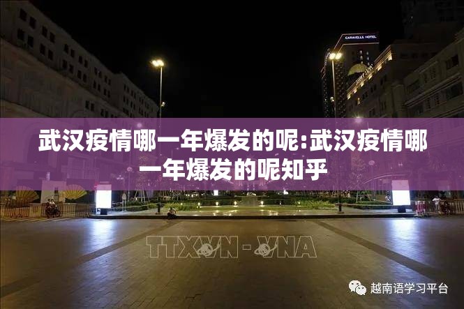 武汉疫情哪一年爆发的呢:武汉疫情哪一年爆发的呢知乎