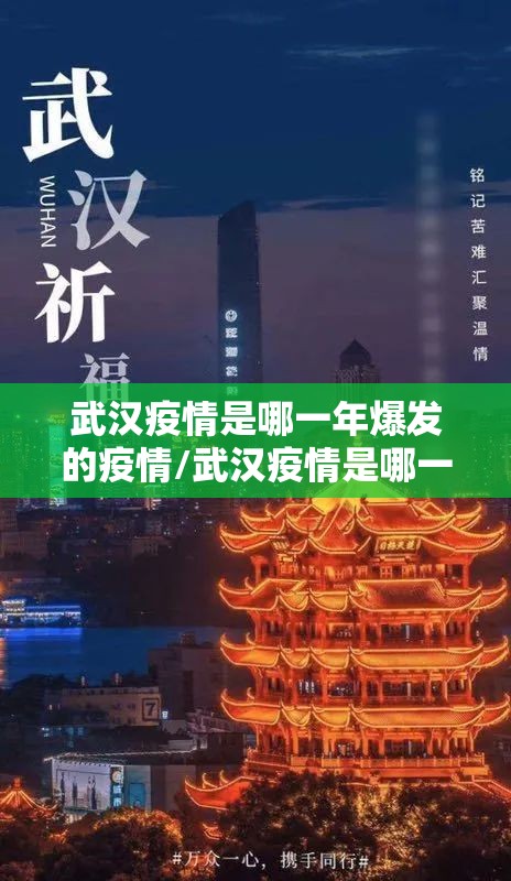 武汉疫情是哪一年爆发的疫情/武汉疫情是哪一年爆发的疫情呢