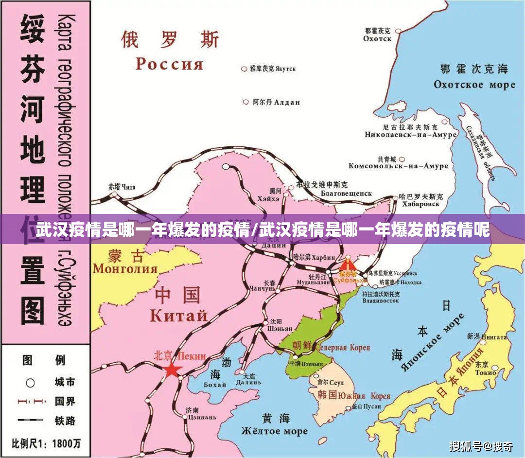 武汉疫情是哪一年爆发的疫情/武汉疫情是哪一年爆发的疫情呢