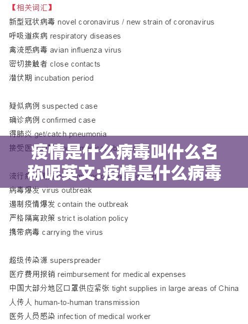 重大通报大苏互娱透视软件真的确实有挂