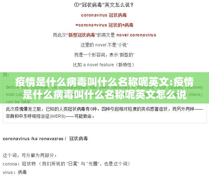 重磅.来袭鑫耀互娱真的有挂的确有挂(原来确实是有挂)