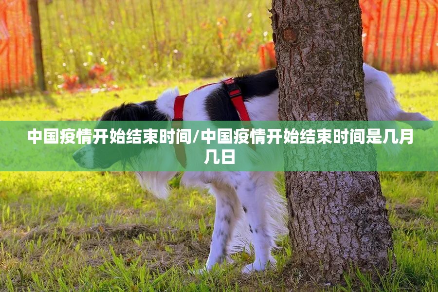 推荐一款宁波世纪茶馆其实确实真的有挂其实真的确实有挂
