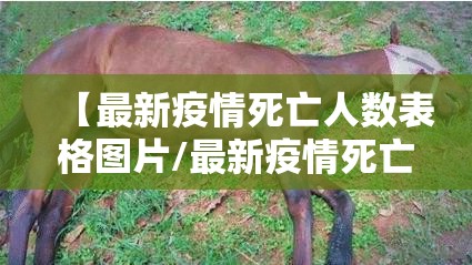 【最新疫情死亡人数表格图片/最新疫情死亡率】