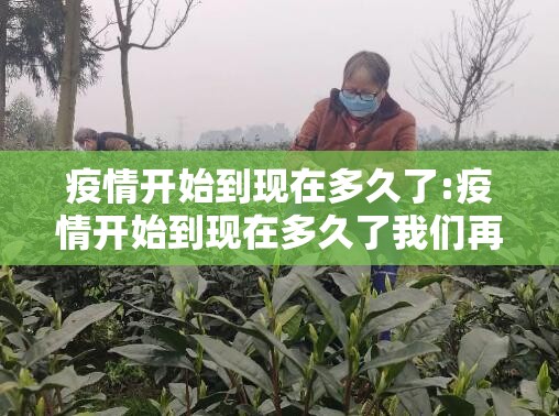 重磅.来袭“宝龙互娱如何开挂！详细开挂教程”开挂神器