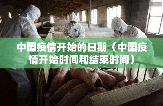 重磅.来袭海星大厅的确有挂确实真的有挂原来真可以开挂