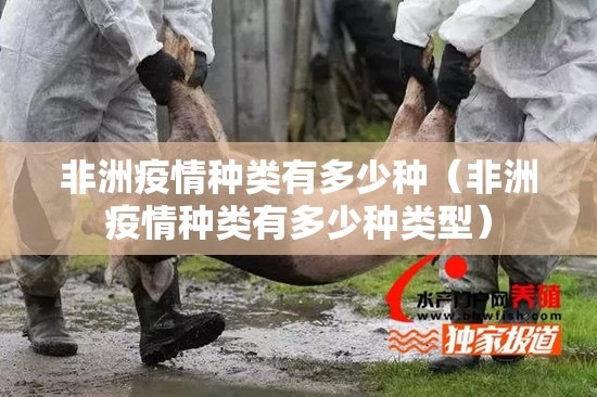 非洲疫情种类有多少种（非洲疫情种类有多少种类型）