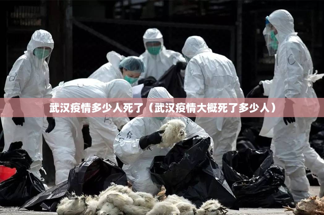 武汉疫情多少人死了（武汉疫情大概死了多少人）